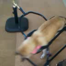 動画を見る日々 part２の画像