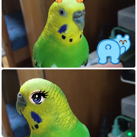 忘れたままに(￣∇￣)の画像