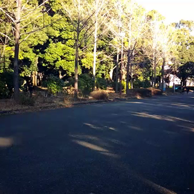 越谷春季記録会リレー選考会(女子)④の画像