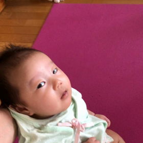 ついに生命保険の改正と保護猫デールと令和ちゃん動画。の画像