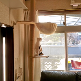 ふたりのルーティンの画像