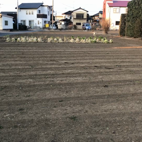 昨日の、わ、ん、この画像