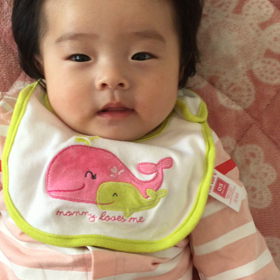 今日の  さくらの画像