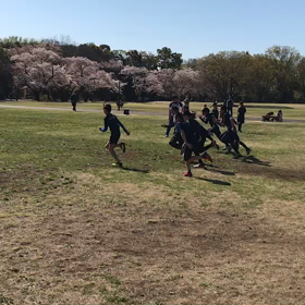 学年別インターバル ラスト１本④の画像