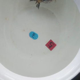 2022 金魚日本一大会 出品・親魚  江戸錦の画像