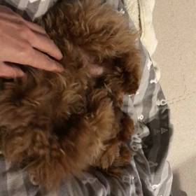 やめてぇ〜！の画像