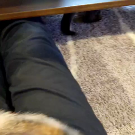 遊んでいるんですの画像