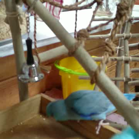 ムーさんキレてる～(笑)の画像