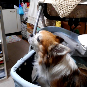 まだ外は…の画像