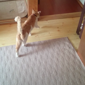 うぉぉ〰❗の画像