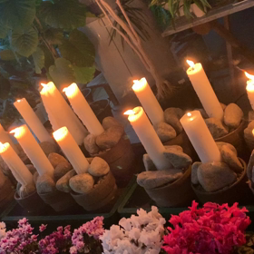 キャンドルナイトの画像