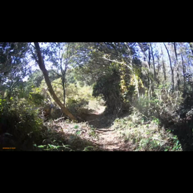 八女上陽エンデューロの画像