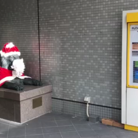 12/22の画像