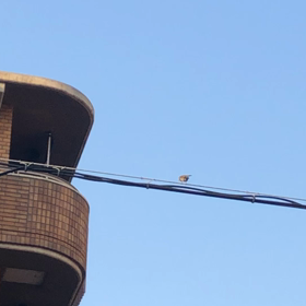 癒された〜 (^_^)の画像