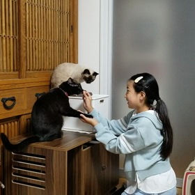 2021.10.7 むぎちょこのお手の画像