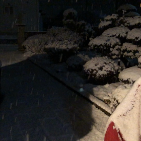 スタンバってます。の画像