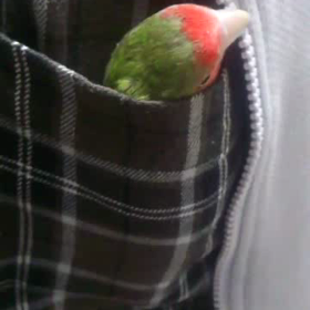 こんなころがあったシリーズ③の画像