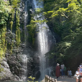 久しぶりの滝の画像