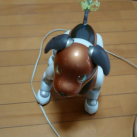 仮面ライダーゼロワンになるっ。の画像