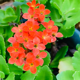 介護記録８３（吐き出す）の画像