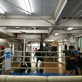 頑張れオーバー50！の画像