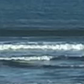 午後のダル波乗りより、、自撮りの画像