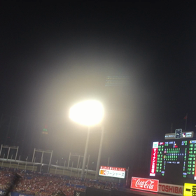 浅草寺観音堂うら　鮨 『一新』 －２０１９年開幕直前－の画像