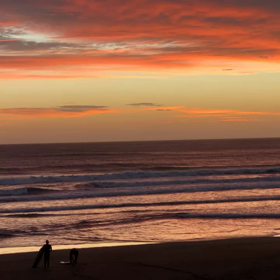 11月20日千葉北、東浪見の朝の波の画像