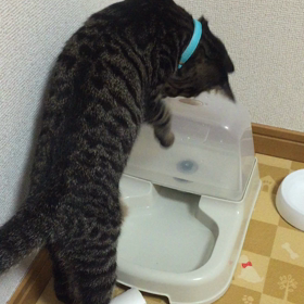 ８７日目 水遊びの画像