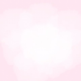 今日は禁酒の日、ちゃきちビデオ撮れましたの画像