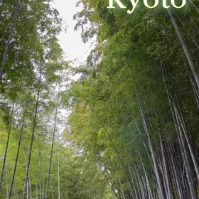 そうだ、京都行こう！外国人ツアー観光解禁の巻の画像