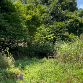 ただ今の心境❣️の画像