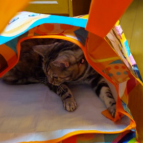 花と竜　５４の画像