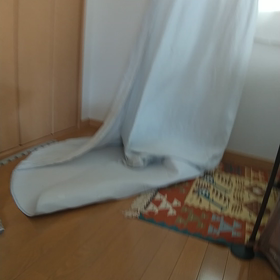 かくれんぼ。の画像