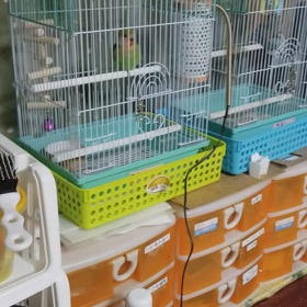 練習なのか？の画像