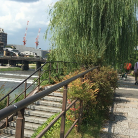 残暑お見舞い申し上げますの画像