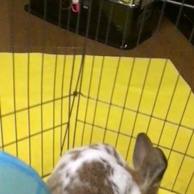 今日のふづきちゃんの画像