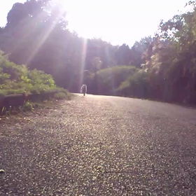 ３月３１日   そらー!!の画像