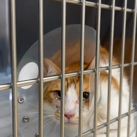 病院から動画の画像