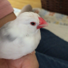 わし眠いねんの画像