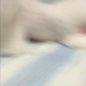 お転婆バニラですの画像