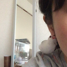 ピアスが気になってしょうがないの画像