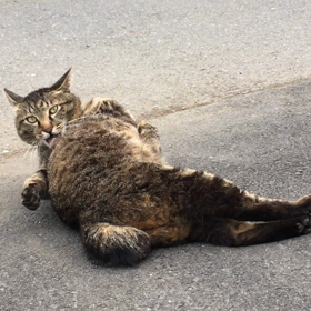 地震怖いですね！の画像