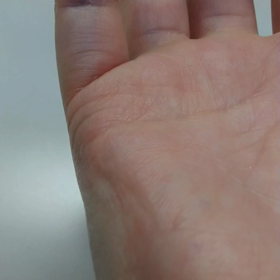 撮れた！の画像