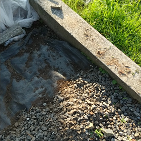 2023年12月29日作業日記〈来年を夢見る〉の画像