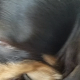 震える(笑)の画像