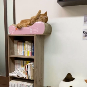 おすすめのお豆腐レシピ、教えて！の画像