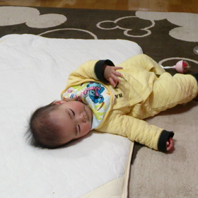 夢の寝返りんりんの画像