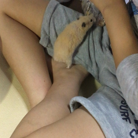 自由だ〜？の画像