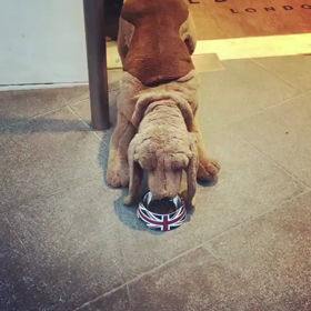 ジェジュン　インスタの画像